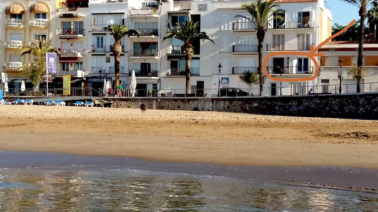 Beach And Garden location